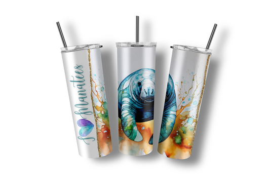 Stainless Steel Tumbler